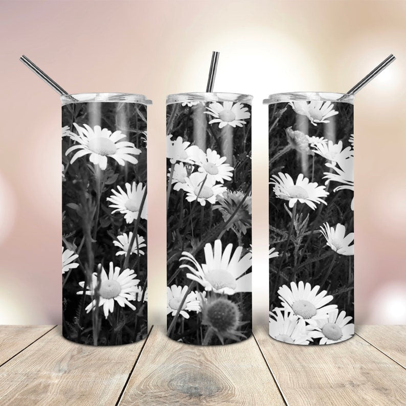 BLACK AND WHITE DAISIES